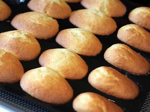 Madeleines